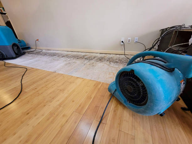 Professional Water Removal technician working in Cedar Springs, MI